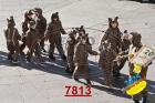 7813.jpg