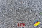 1176.jpg
