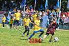 3394.jpg