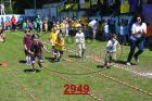 2949.jpg