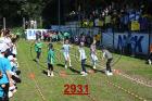 2931.jpg