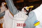 39119.jpg