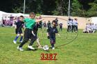 3387.jpg
