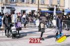 2957.jpg