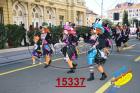 15337.jpg