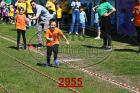 2955.jpg
