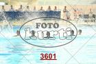 3601.jpg