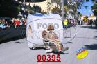 00395.jpg