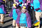 10353.jpg