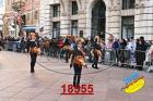 18555.jpg