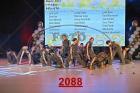 2088.jpg