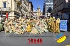 13846.jpg